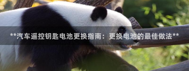 优发国际是大平台吗还是小平