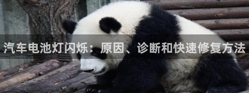 优发国际