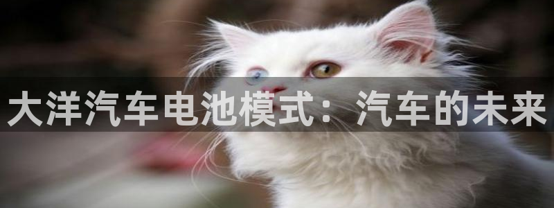 优发国际手机客户端app
