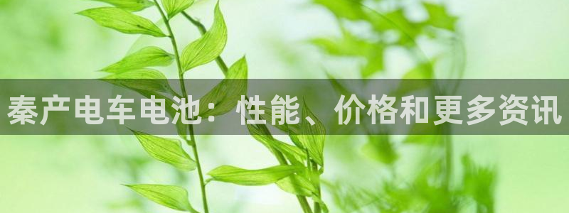 优发国际网官