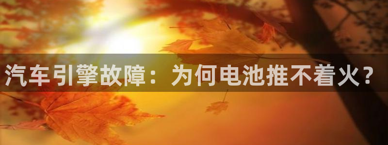 优发国际手机版客户端