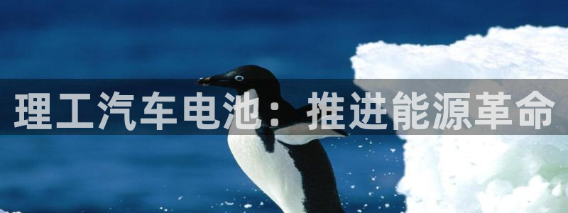 优发国际平台app下载安装