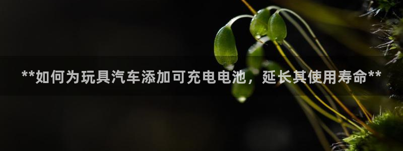 优发国际手机版客户端