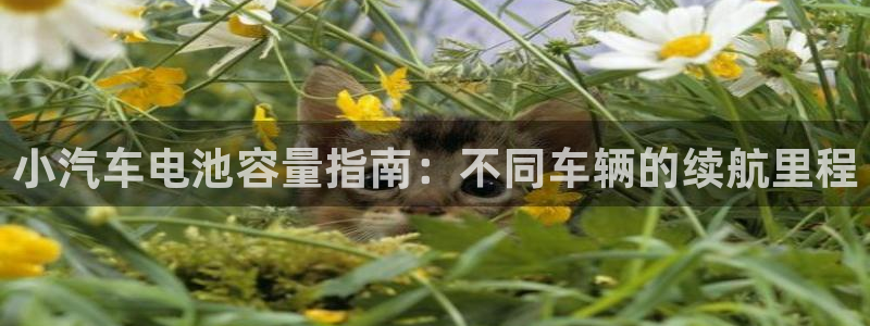优发国际手机版客户端下载
