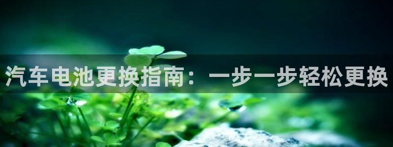 优发国际平台g8