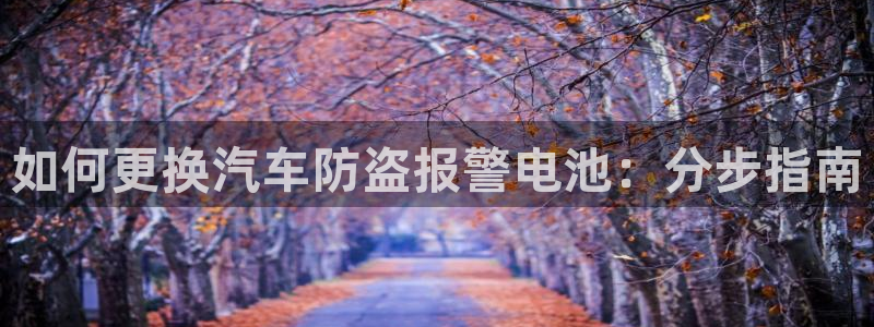 优发国际网官
