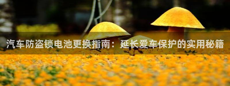优发国际手机版唯一官网是什么