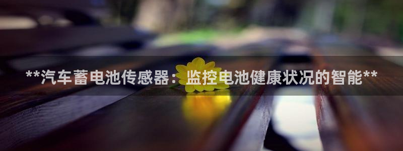 优发国际平台g8