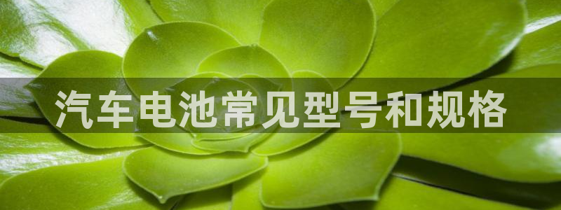 优发国际集团股份有限公司