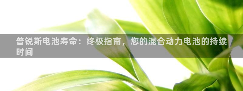 优发娱乐pc版官网