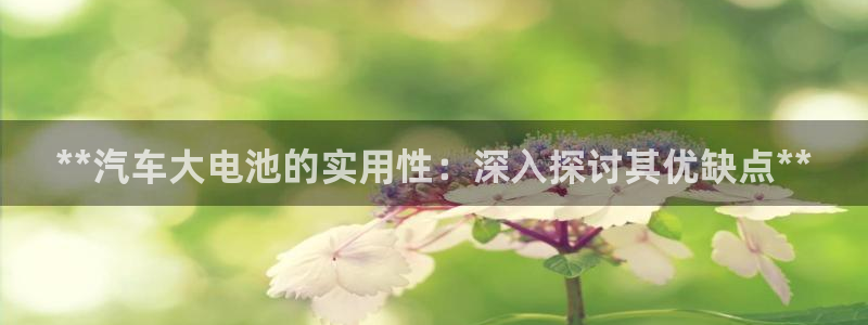 优发国际手机客户端官网