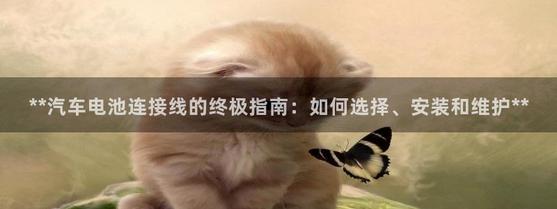 优发国际官网手机版下载