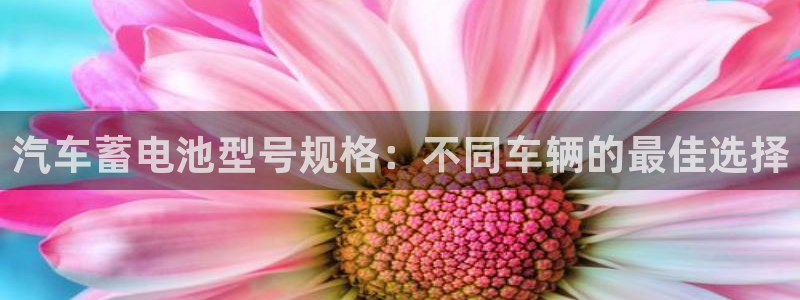 优发国际电话