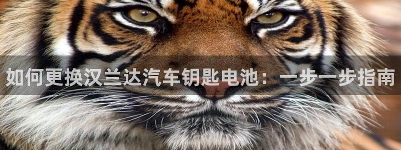优发国际是大平台吗还是小平