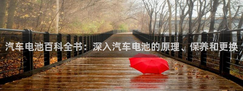 优发国际官网手机版入口