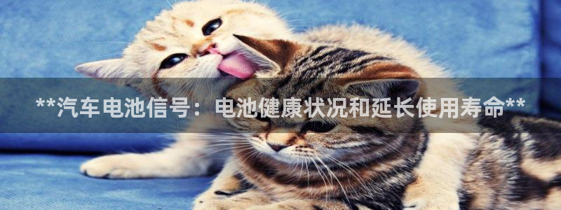 优发国际官网手机版