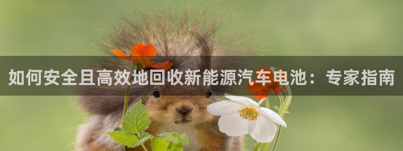 优发国际官方网手机版下载