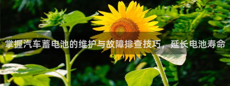 优发国际安卓版下载安装
