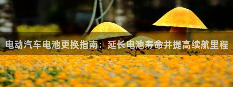 优发国际合并到哪里了啊