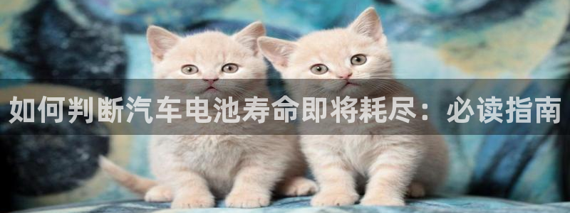 优发国际一首页