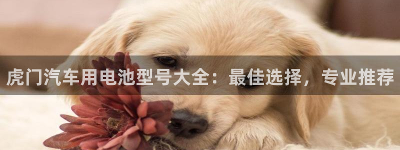 优发国际官网手机版代理