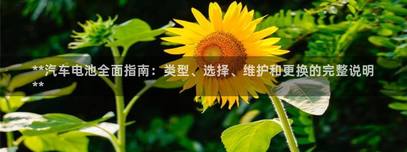 优发国际在哪里下载