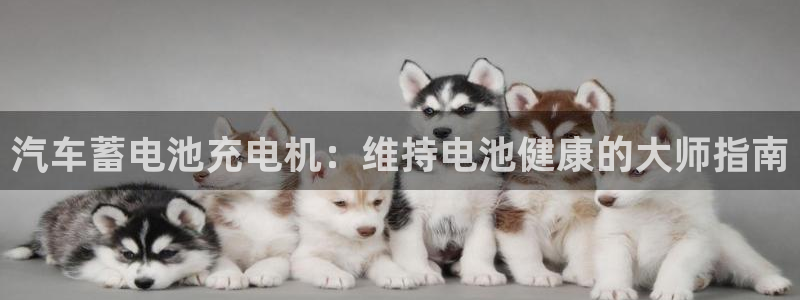 优发国际合并到哪里了