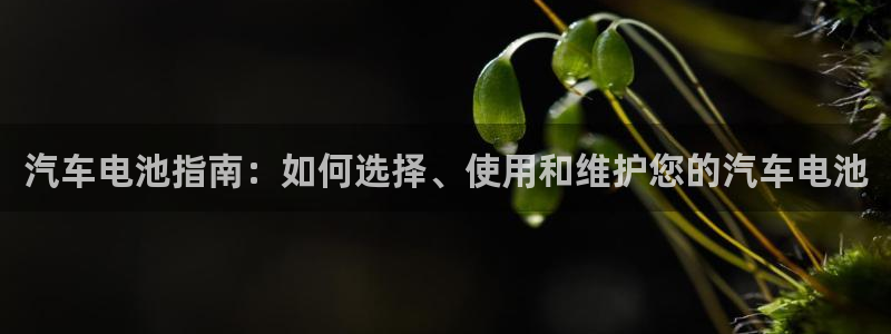 优发国际安卓版下载安装最新版