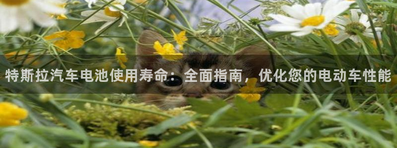 优发国际平台app下载安装