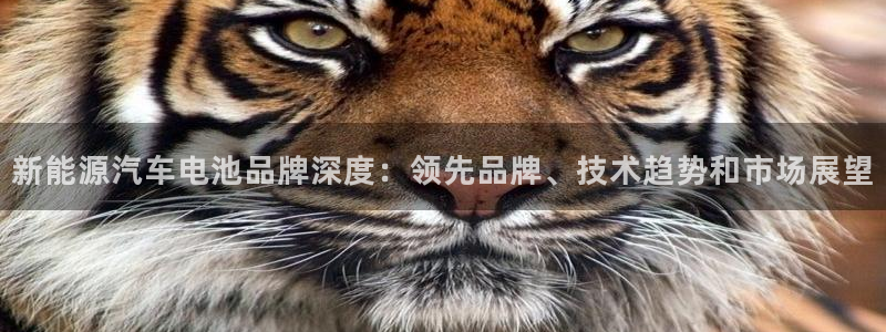 优发国际网官网17o8