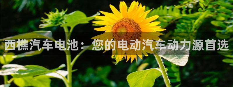 优发国际游戏官方网站