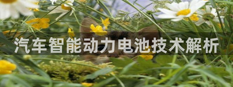 优发国际合并到哪里了最新消息