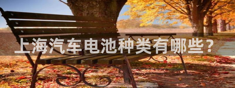 优发国际官网手机版app
