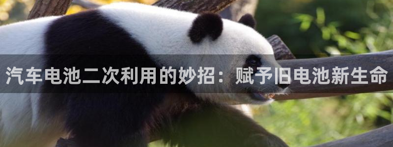 优发国际平台18