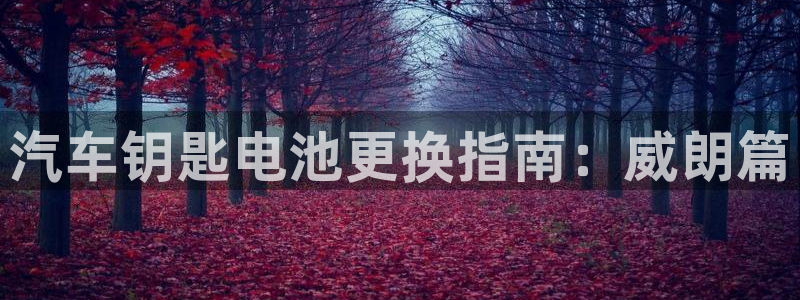 优发国际客服联系方式是什么