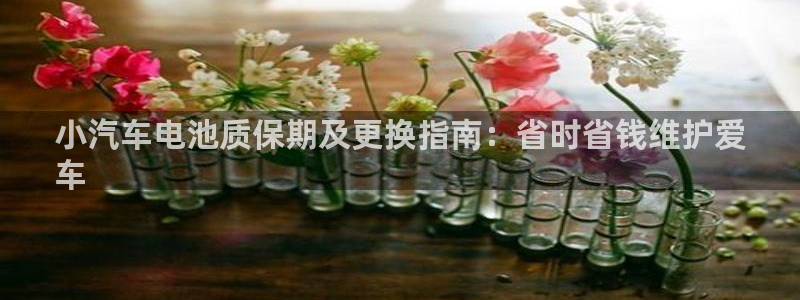 优发国际平台g80