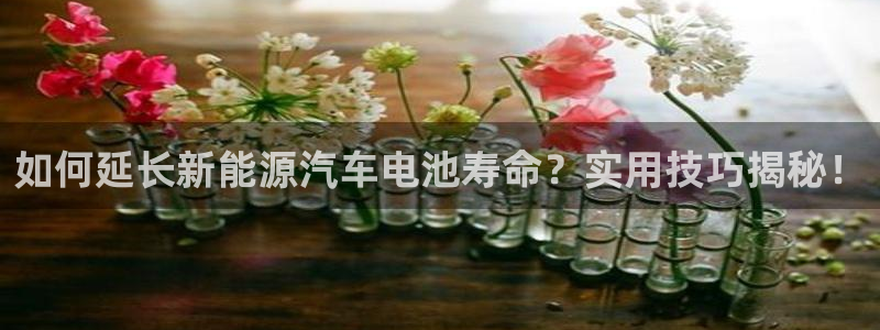 优发国际手机版下载安装