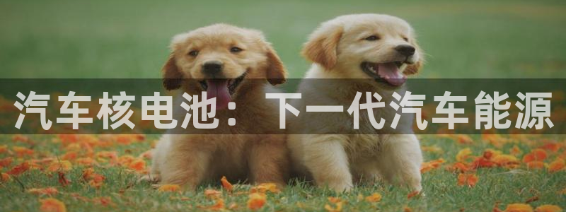 优发国际多少钱