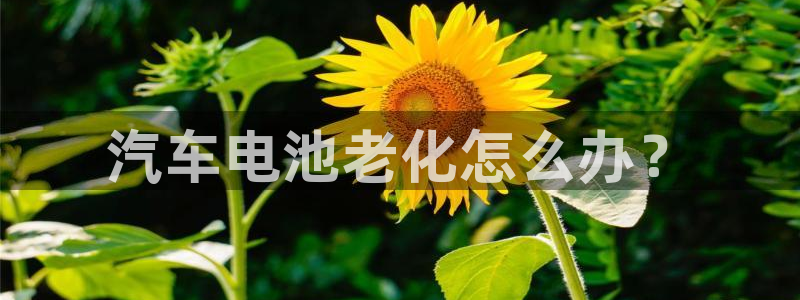 优发国际手机app下载安装