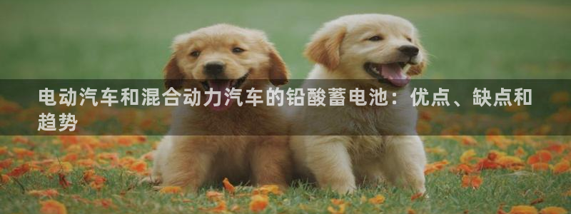 优发国际游戏17