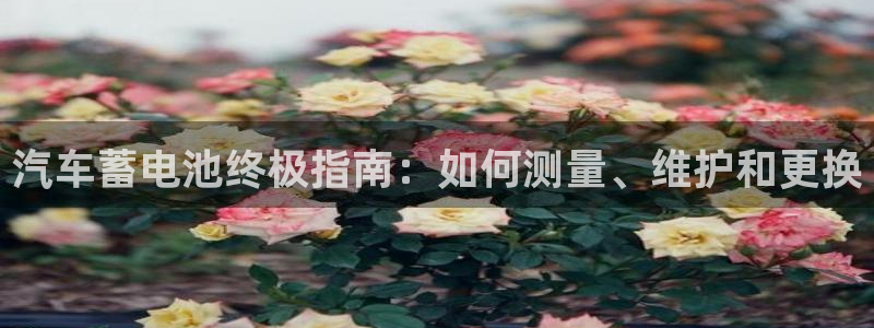 优发国际首页首页y6