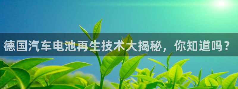 优发国际官方网手机版