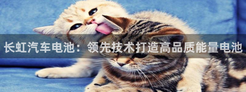 优发国际官网手机版下载苹果