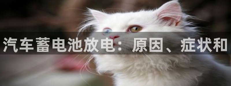 优发娱乐国际线上