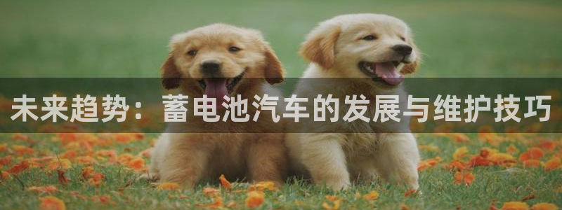 优发国际app官网下载安装