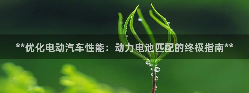 优发国际官网,首页