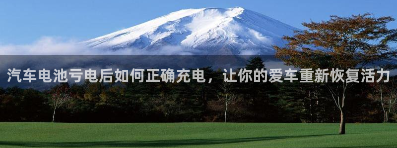 优发国际手机版客户端官网