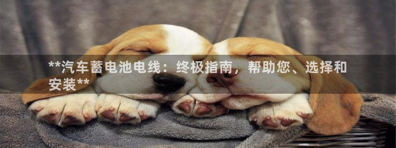 优发国际是大平台吗