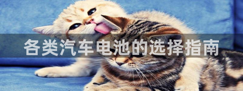 优发国际手机客户端官网：各类汽车电池的选择指南