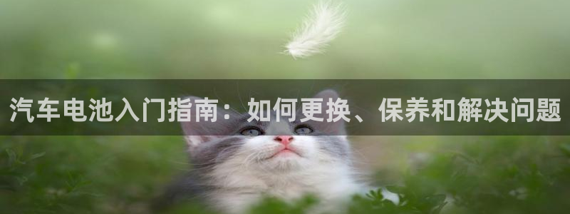 优发国际官网下载安装苹果